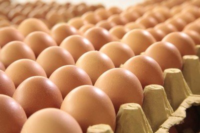 南昌鸡蛋检测价格,鸡蛋检测机构,鸡蛋检测项目,鸡蛋常规检测